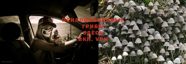 винт Алексеевка